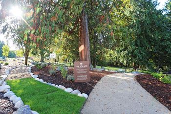 a sidewalk leading to a park with a tree and a sign